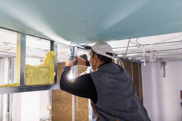 Best Residential Insulation in Mead, WA