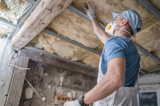 Types of Insulation We Offer in Mead, WA